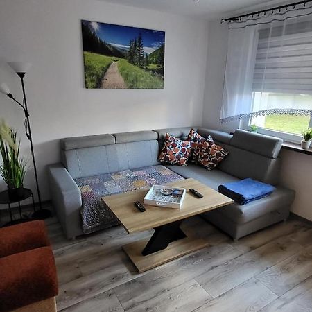 Apartament Leon Валбжих Экстерьер фото