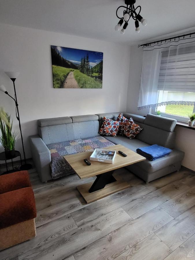 Apartament Leon Валбжих Экстерьер фото